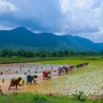 మదనపల్లెలో రూ.1 లక్ష కోట్ల Global Horticulture Hubకు శ్రీకారం.. 10 జిల్లాల్లో 201 క్లస్టర్లు