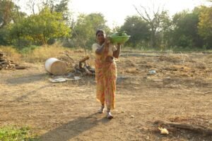 వ్యవసాయ క్షేత్రంలో మహిళా రైతు — ప్రతీకాత్మక స్టాక్ చిత్రం